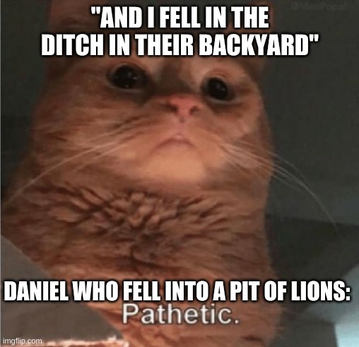 Pathetic Cat | "AND I FELL IN THE DITCH IN THEIR BACKYARD"; DANIEL WHO FELL INTO A PIT OF LIONS: | image tagged in pathetic cat | made w/ Imgflip meme maker