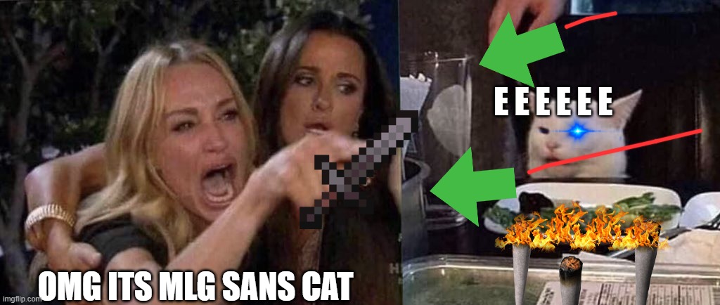 Blond frisk and brown hair chara vs mlg sans cat (took all my creativity on this one) | E E E E E E; OMG ITS MLG SANS CAT | image tagged in woman yelling at cat | made w/ Imgflip meme maker