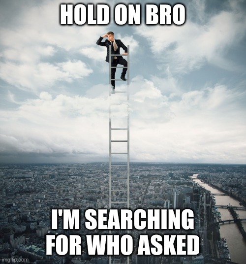 searching | HOLD ON BRO; I'M SEARCHING FOR WHO ASKED | image tagged in searching | made w/ Imgflip meme maker
