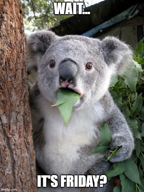 Surprised Koala | WAIT... IT'S FRIDAY? | image tagged in memes,surprised koala | made w/ Imgflip meme maker