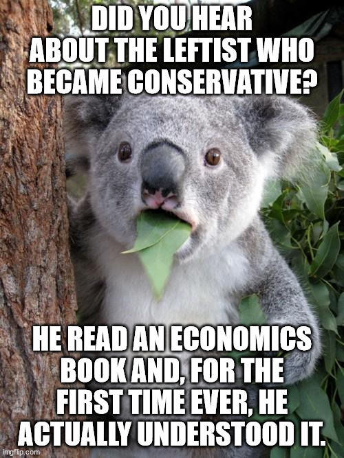 It's all about freedom.  Free the markets and you free the people.  Free the people and you free the markets. | DID YOU HEAR ABOUT THE LEFTIST WHO BECAME CONSERVATIVE? HE READ AN ECONOMICS BOOK AND, FOR THE FIRST TIME EVER, HE ACTUALLY UNDERSTOOD IT. | image tagged in memes,free market,economics,freedom | made w/ Imgflip meme maker