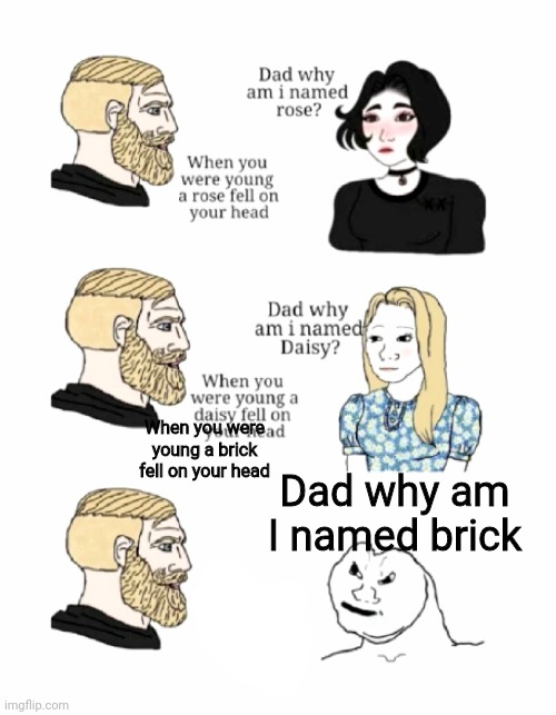 dad why am I named | When you were young a brick fell on your head; Dad why am I named brick | image tagged in dad why am i named | made w/ Imgflip meme maker