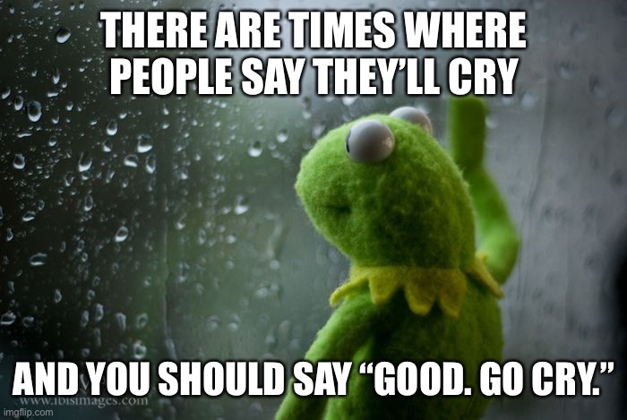 kermit window | THERE ARE TIMES WHERE PEOPLE SAY THEY’LL CRY; AND YOU SHOULD SAY “GOOD. GO CRY.” | image tagged in kermit window | made w/ Imgflip meme maker
