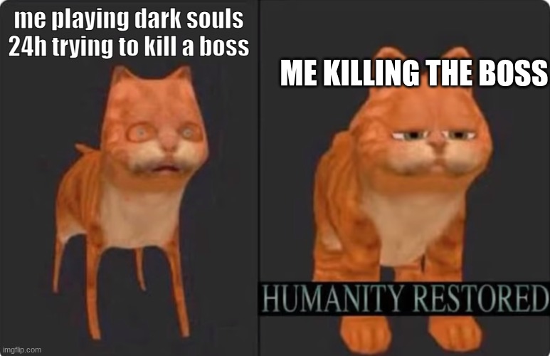 humanity restored | ME KILLING THE BOSS; me playing dark souls 24h trying to kill a boss | image tagged in humanity restored | made w/ Imgflip meme maker