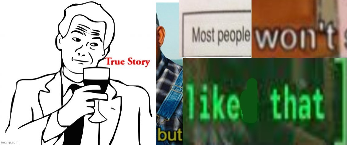 true story but most people won't like that | image tagged in true story but most people won't like that | made w/ Imgflip meme maker