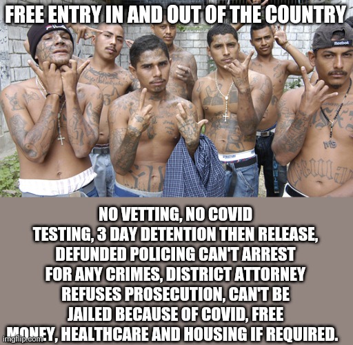 The liberal fantasy brought to life | FREE ENTRY IN AND OUT OF THE COUNTRY; NO VETTING, NO COVID TESTING, 3 DAY DETENTION THEN RELEASE, DEFUNDED POLICING CAN'T ARREST FOR ANY CRIMES, DISTRICT ATTORNEY REFUSES PROSECUTION, CAN'T BE JAILED BECAUSE OF COVID, FREE MONEY, HEALTHCARE AND HOUSING IF REQUIRED. | image tagged in gang members | made w/ Imgflip meme maker