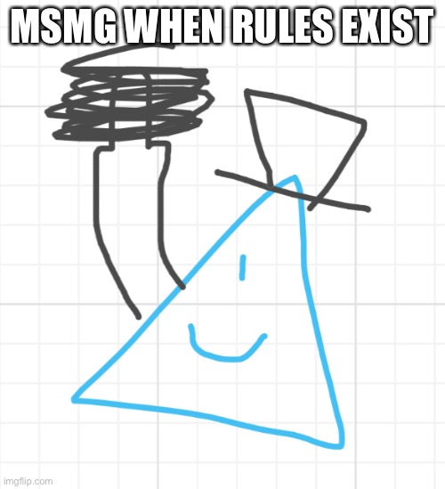 whiteboard is fun | MSMG WHEN RULES EXIST | image tagged in luno flipping the bird | made w/ Imgflip meme maker