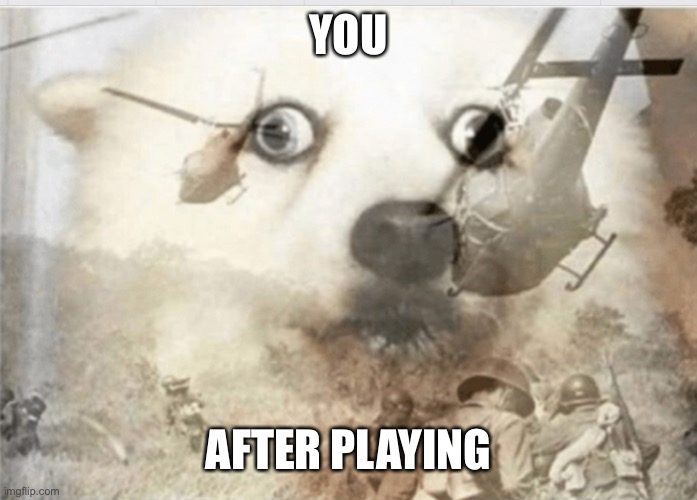 PTSD dog | YOU AFTER PLAYING | image tagged in ptsd dog | made w/ Imgflip meme maker