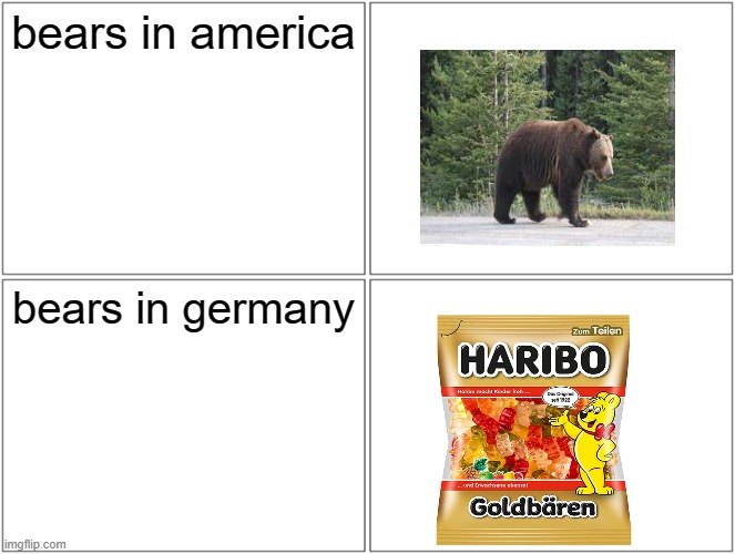 Blank Comic Panel 2x2 | bears in america; bears in germany | image tagged in memes,blank comic panel 2x2 | made w/ Imgflip meme maker