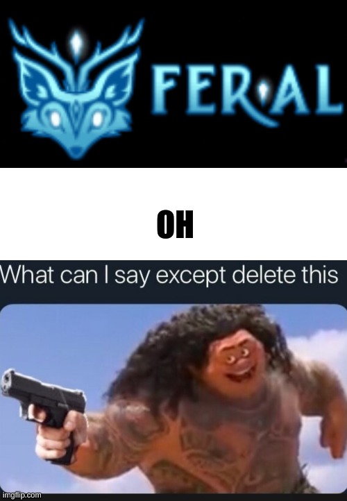 Y E S | OH | image tagged in blank white template,what can i say except delete this | made w/ Imgflip meme maker