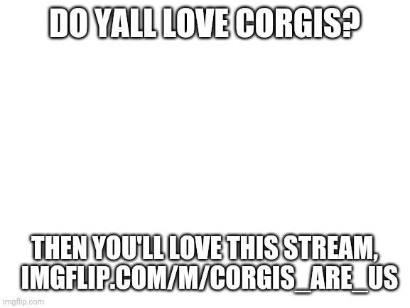 Blank White Template | DO YALL LOVE CORGIS? THEN YOU'LL LOVE THIS STREAM,   IMGFLIP.COM/M/CORGIS_ARE_US | image tagged in blank white template | made w/ Imgflip meme maker