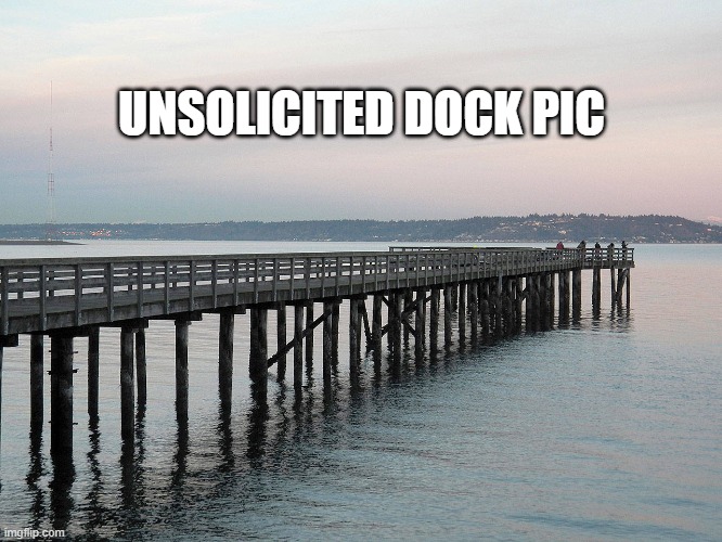 UNSOLICITED DOCK PIC | image tagged in internet | made w/ Imgflip meme maker