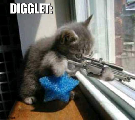 CatSniper | DIGGLET: | image tagged in catsniper | made w/ Imgflip meme maker