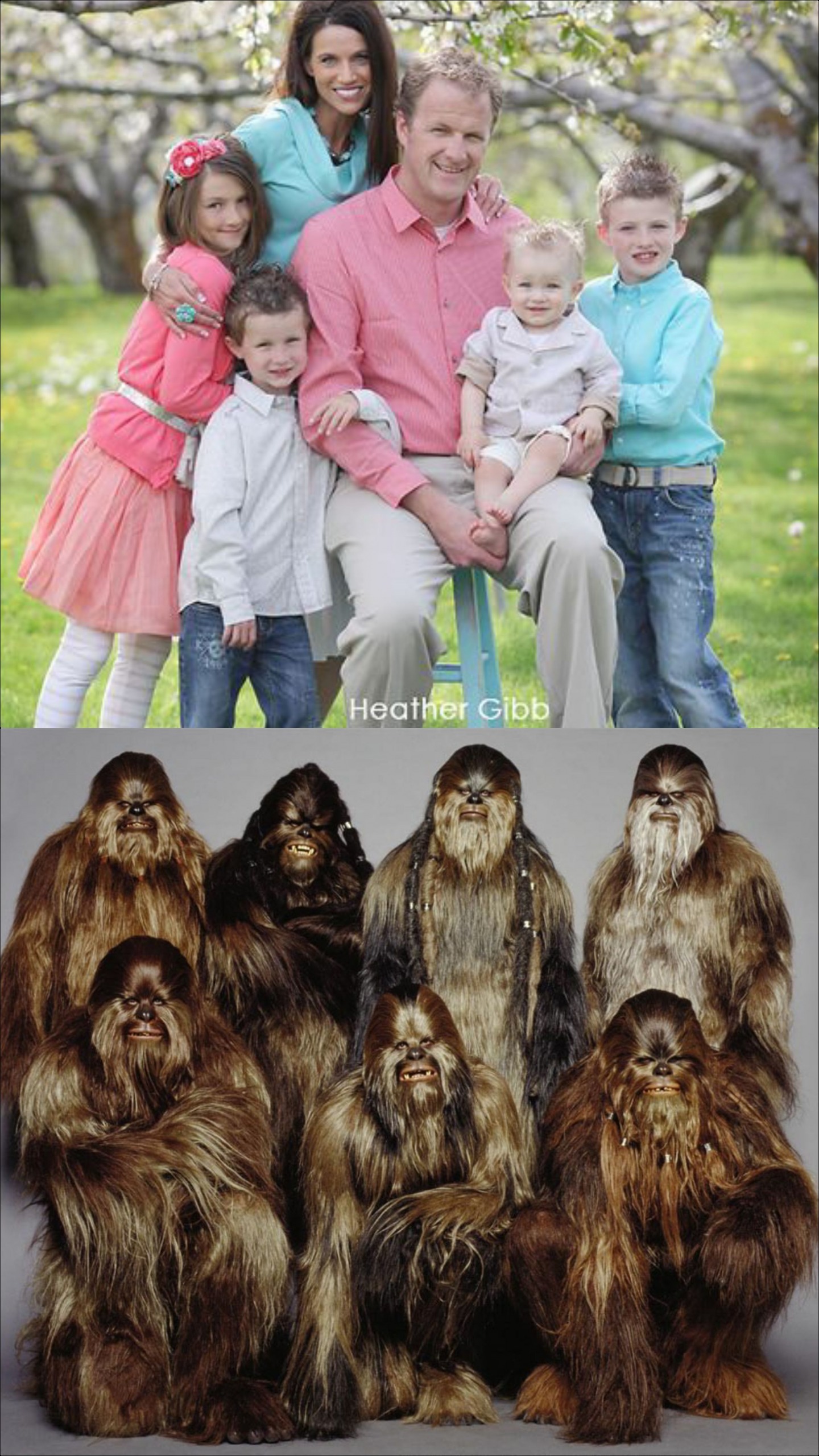 Nice vs Wild Families Blank Meme Template