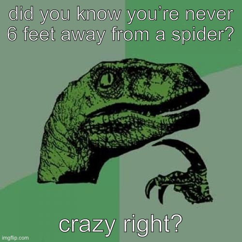 spider thing spider thing | did you know you’re never 6 feet away from a spider? crazy right? | image tagged in memes,philosoraptor,spider,derpaderpader | made w/ Imgflip meme maker