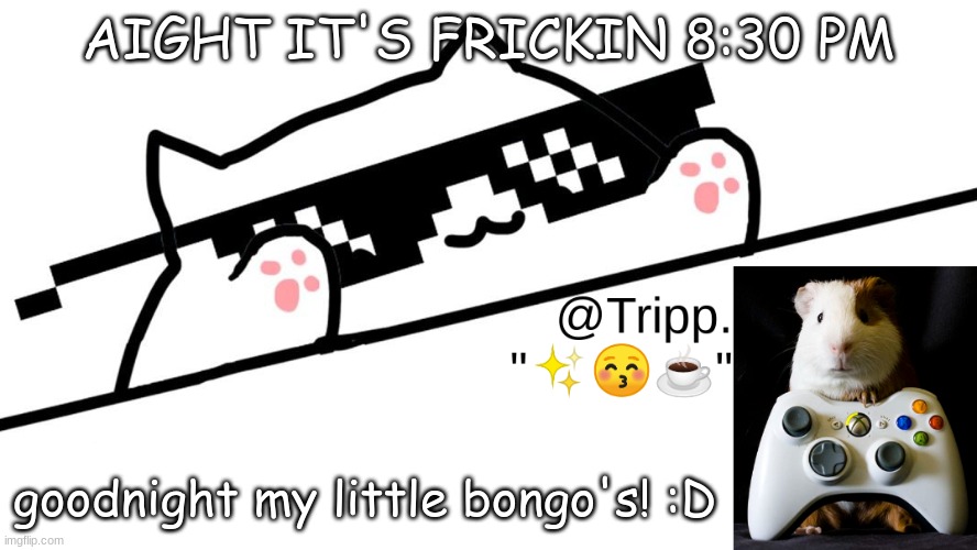 goo naight! | AIGHT IT'S FRICKIN 8:30 PM; goodnight my little bongo's! :D | image tagged in tripp 's very awesome temp d,goodnight | made w/ Imgflip meme maker