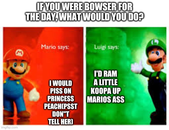 well that's harsh, | IF YOU WERE BOWSER FOR THE DAY, WHAT WOULD YOU DO? I WOULD PISS ON PRINCESS PEACH(PSST DON"T TELL HER); I'D RAM A LITTLE KOOPA UP MARIOS ASS | image tagged in mario bros thoughts on | made w/ Imgflip meme maker