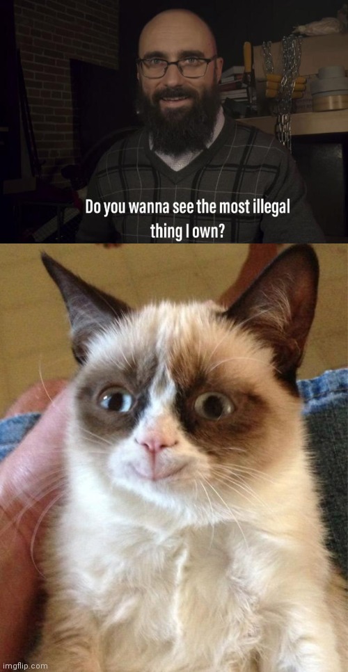 image tagged in do you want to see the most illegal thing i own,memes,grumpy cat happy | made w/ Imgflip meme maker