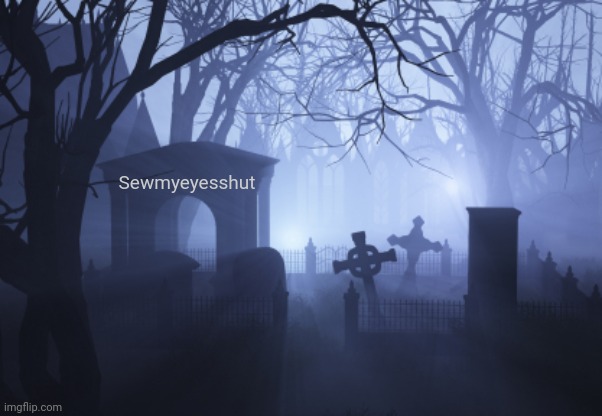Cemetery | Sewmyeyesshut | image tagged in cemetery | made w/ Imgflip meme maker