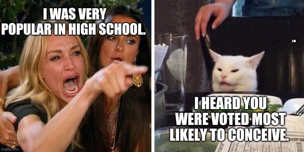 Smudge the cat | I WAS VERY POPULAR IN HIGH SCHOOL. J M; I HEARD YOU WERE VOTED MOST LIKELY TO CONCEIVE. | image tagged in smudge the cat | made w/ Imgflip meme maker