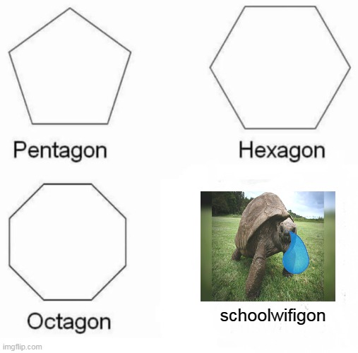 Pentagon Hexagon Octagon | schoolwifigon | image tagged in memes,pentagon hexagon octagon | made w/ Imgflip meme maker