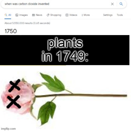 In Loving Memory Of Le Plant | made w/ Imgflip meme maker