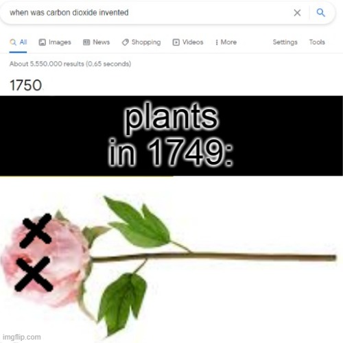 in loving memory of a plant | image tagged in plant | made w/ Imgflip meme maker