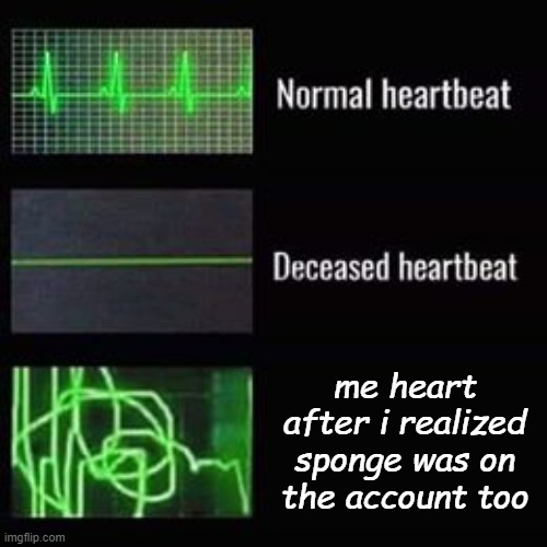- c a m | me heart after i realized sponge was on the account too | image tagged in heartbeat rate | made w/ Imgflip meme maker