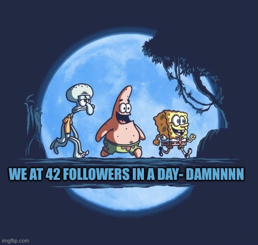 Sponge temp | WE AT 42 FOLLOWERS IN A DAY- DAMNNNN | image tagged in sponge temp | made w/ Imgflip meme maker