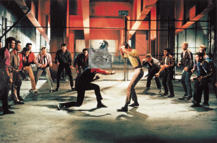 West side story | image tagged in west side story | made w/ Imgflip meme maker