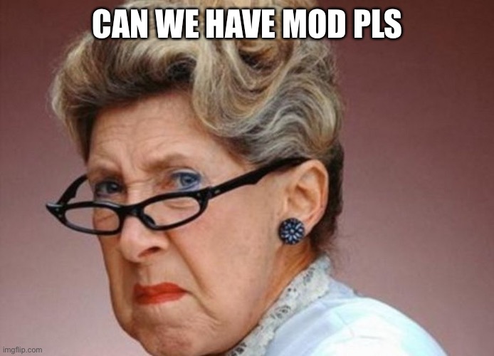 -foxy | CAN WE HAVE MOD PLS | image tagged in angrey librarian | made w/ Imgflip meme maker