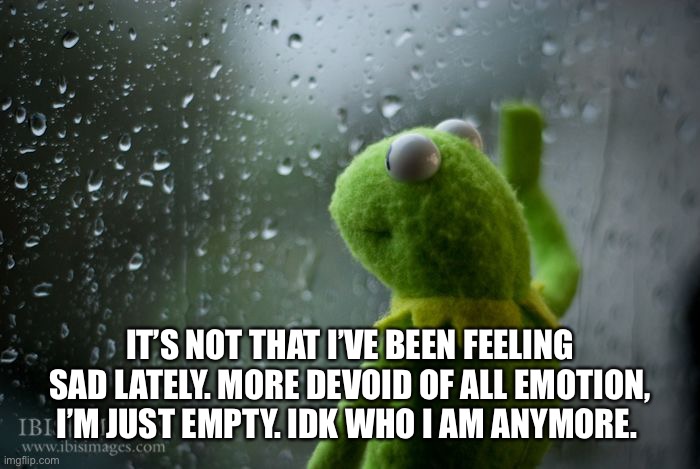 Random rant | IT’S NOT THAT I’VE BEEN FEELING SAD LATELY. MORE DEVOID OF ALL EMOTION, I’M JUST EMPTY. IDK WHO I AM ANYMORE. | image tagged in kermit window | made w/ Imgflip meme maker