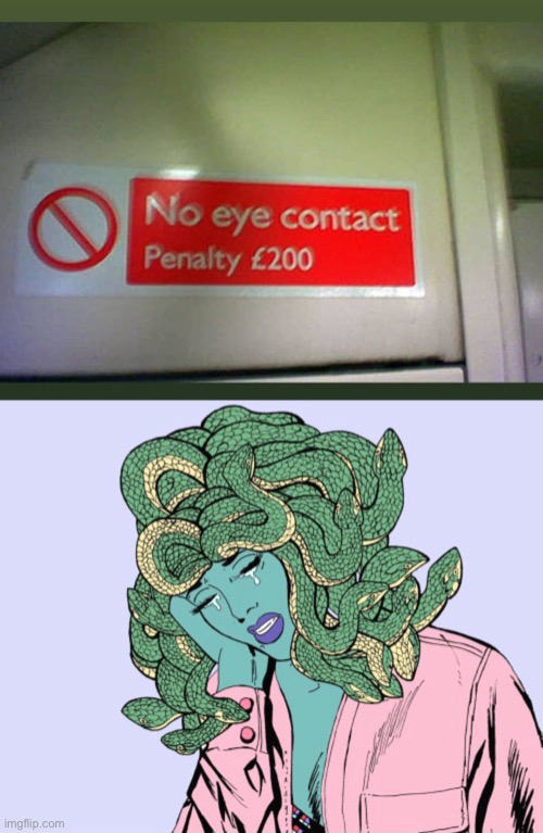 Humans and their stupid rules | image tagged in memes,medusa | made w/ Imgflip meme maker