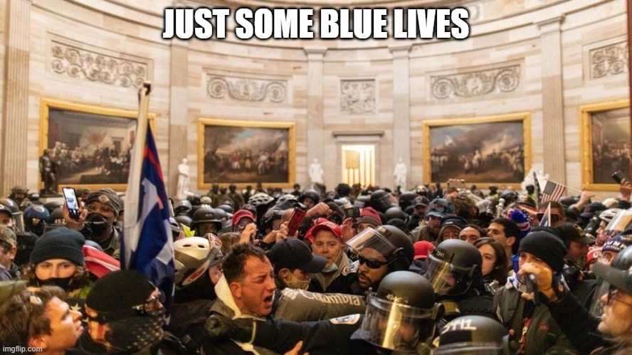 Capitol "Protestors" | JUST SOME BLUE LIVES | image tagged in capitol protestors | made w/ Imgflip meme maker