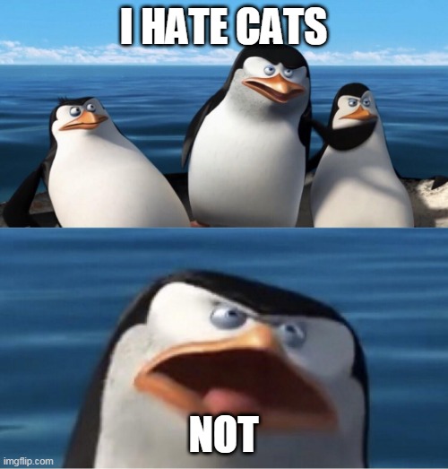 i hate cats not | I HATE CATS; NOT | image tagged in wouldn't that make you | made w/ Imgflip meme maker