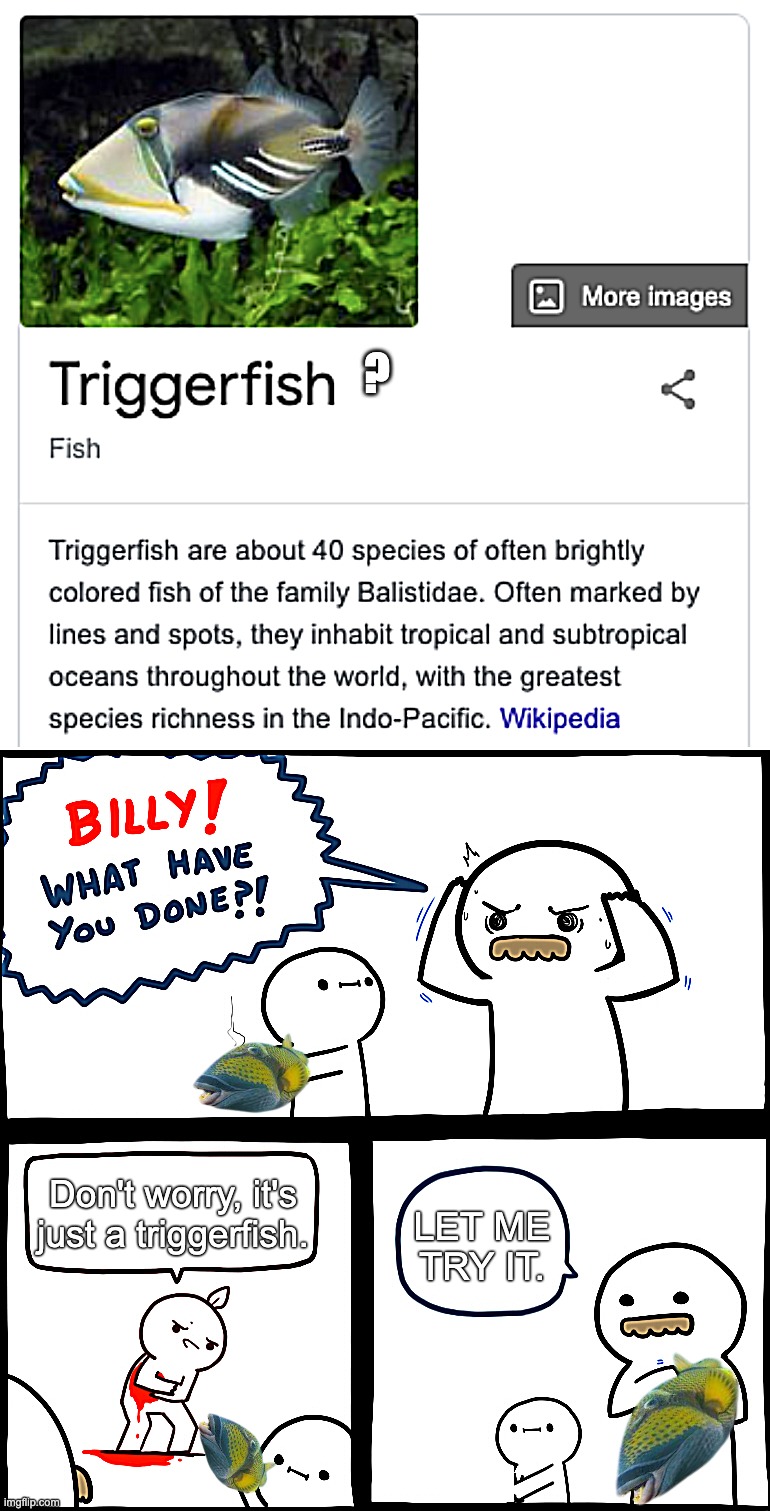 TRIGGERFISH? | ? Don't worry, it's just a triggerfish. LET ME TRY IT. | image tagged in memes,gun,billy what have you done | made w/ Imgflip meme maker
