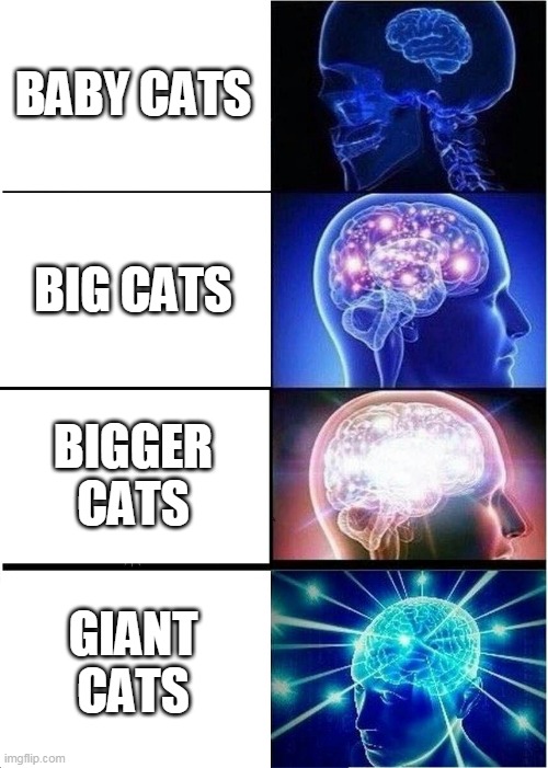 cats | BABY CATS; BIG CATS; BIGGER CATS; GIANT CATS | image tagged in memes,expanding brain,cats,lol | made w/ Imgflip meme maker