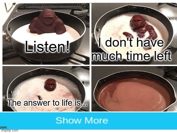 Mystery solved | I don't have much time left; Listen! The answer to life is... | image tagged in memes,chocolate gorilla | made w/ Imgflip meme maker