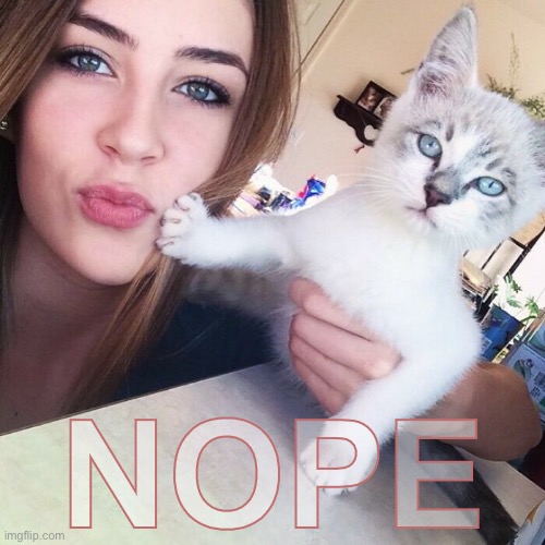 No Kisses For Her | NOPE | image tagged in funny memes,funny cat memes | made w/ Imgflip meme maker