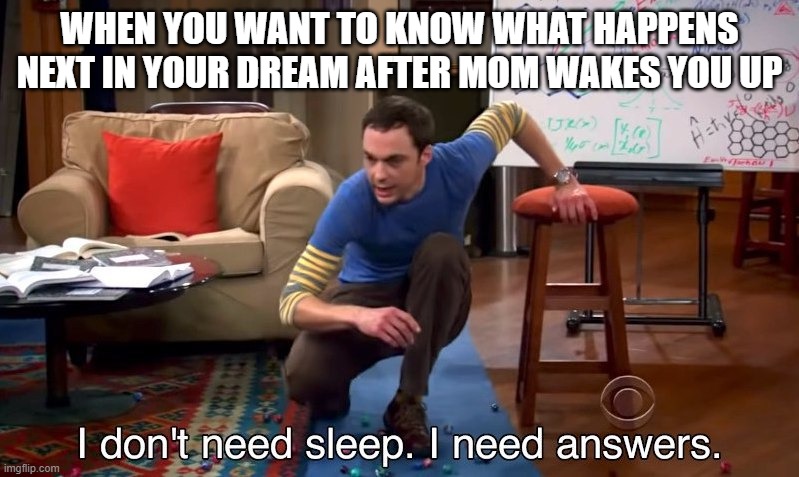 Dream | WHEN YOU WANT TO KNOW WHAT HAPPENS NEXT IN YOUR DREAM AFTER MOM WAKES YOU UP | image tagged in i don't need sleep i need answers | made w/ Imgflip meme maker
