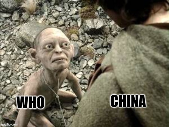 WHO be good, no hurt WHO. | WHO CHINA | image tagged in gollum on leash | made w/ Imgflip meme maker