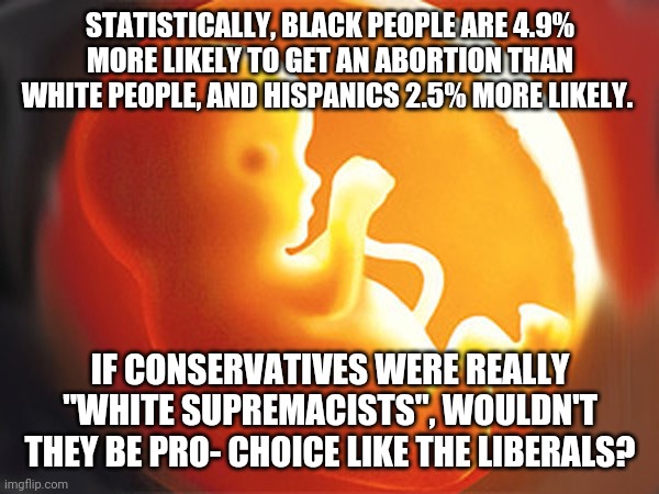 Logic | STATISTICALLY, BLACK PEOPLE ARE 4.9% MORE LIKELY TO GET AN ABORTION THAN WHITE PEOPLE, AND HISPANICS 2.5% MORE LIKELY. IF CONSERVATIVES WERE REALLY "WHITE SUPREMACISTS", WOULDN'T THEY BE PRO- CHOICE LIKE THE LIBERALS? | image tagged in unborn child | made w/ Imgflip meme maker