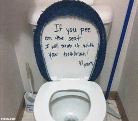 How to make sure your boys aim right. | image tagged in funny,memes,eww,toilet seat,oof,lmao | made w/ Imgflip meme maker