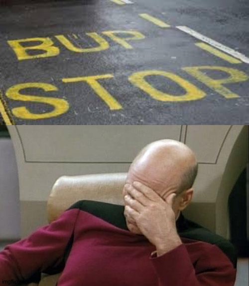 Why? | image tagged in memes,captain picard facepalm,funny,you had one job,task failed successfully | made w/ Imgflip meme maker