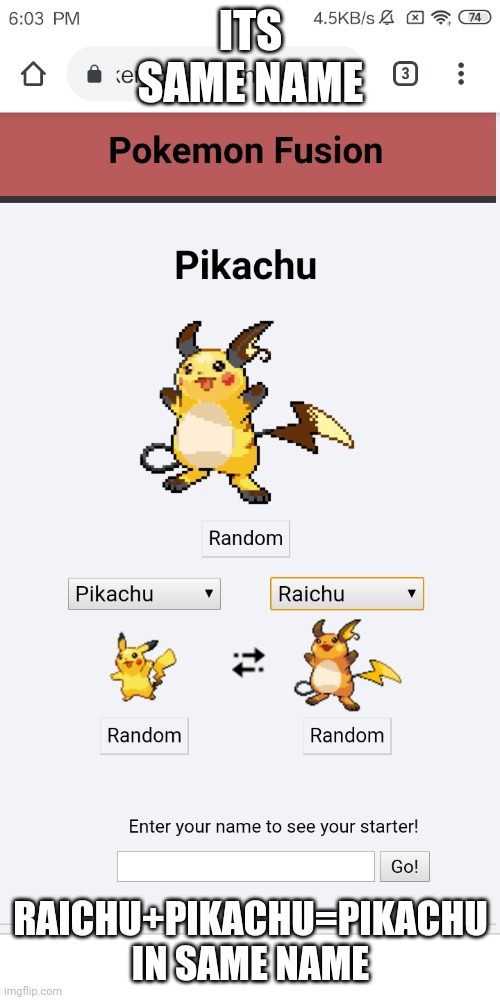 ITS SAME NAME; RAICHU+PIKACHU=PIKACHU IN SAME NAME | image tagged in pokemon fusion,pikachu | made w/ Imgflip meme maker