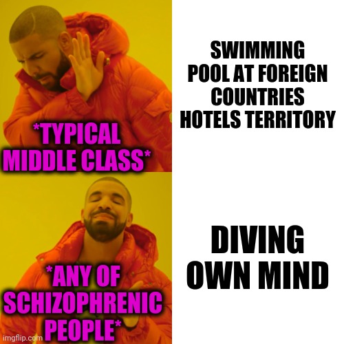 -Bringing light. | SWIMMING POOL AT FOREIGN COUNTRIES HOTELS TERRITORY; *TYPICAL MIDDLE CLASS*; DIVING OWN MIND; *ANY OF SCHIZOPHRENIC PEOPLE* | image tagged in memes,drake hotline bling,skydiving,mind control,co-workers,hotel california | made w/ Imgflip meme maker