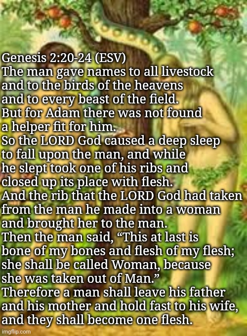Adam and Eve | Genesis 2:20-24 (ESV)
The man gave names to all livestock
and to the birds of the heavens
and to every beast of the field.
But for Adam ther | image tagged in adam and eve | made w/ Imgflip meme maker
