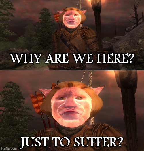 All Batman Style | WHY ARE WE HERE? JUST TO SUFFER? | image tagged in autism cat why are we here,autism cat,elder scrolls,oblivion,why are we here,andalus font | made w/ Imgflip meme maker