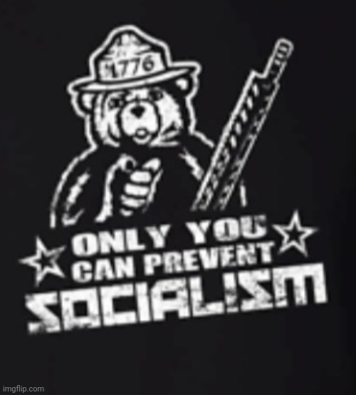 Smokey knows best | image tagged in triggered liberal,communist socialist,sucks | made w/ Imgflip meme maker