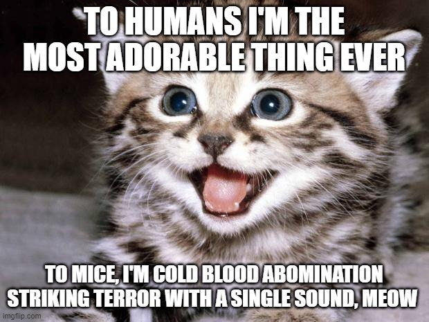 Uber Cute Cat | TO HUMANS I'M THE MOST ADORABLE THING EVER; TO MICE, I'M COLD BLOOD ABOMINATION STRIKING TERROR WITH A SINGLE SOUND, MEOW | image tagged in uber cute cat | made w/ Imgflip meme maker